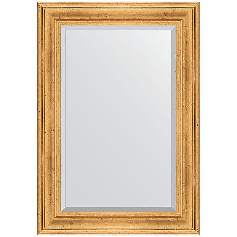 Зеркало Evoform Exclusive 99х69 BY 3444 с фацетом в багетной раме - Травленое золото 99, купить, цена, заказать, магазин, доставка, скидка, промокод, купить, цена, заказать, магазин, доставка, скидка, промокод