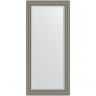 Зеркало Evoform Exclusive 166х76 BY 1307 с фацетом в багетной раме - Римское серебро 88, купить, цена, заказать, магазин, доставка, скидка, промокод, купить, цена, заказать, магазин, доставка, скидка, промокод