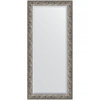 Зеркало Evoform Exclusive 166х76 BY 1309 с фацетом в багетной раме - Фреска 84, купить, цена, заказать, магазин, доставка, скидка, промокод, купить, цена, заказать, магазин, доставка, скидка, промокод