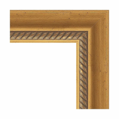 Зеркало Evoform Exclusive 53х43 BY 3353 с фацетом в багетной раме - Состаренное золото с плетением 70