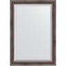 Зеркало Evoform Exclusive 101х71 BY 1194 с фацетом в багетной раме - Палисандр 62, купить, цена, заказать, магазин, доставка, скидка, промокод, купить, цена, заказать, магазин, доставка, скидка, промокод