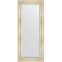 Зеркало Evoform Exclusive 149х64 BY 3549 с фацетом в багетной раме - Травленое серебро 99, купить, цена, заказать, магазин, доставка, скидка, промокод, купить, цена, заказать, магазин, доставка, скидка, промокод