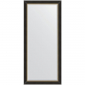 Зеркало Evoform Exclusive 164х74 BY 3931 с фацетом в багетной раме - Черное дерево с золотом 71, купить, цена, заказать, магазин, доставка, скидка, промокод, купить, цена, заказать, магазин, доставка, скидка, промокод