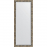 Зеркало Evoform Exclusive Floor 198х78 BY 6107 с фацетом в багетной раме - Серебряный бамбук 73, купить, цена, заказать, магазин, доставка, скидка, промокод, купить, цена, заказать, магазин, доставка, скидка, промокод