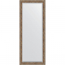 Зеркало Evoform Exclusive Floor 200х80 BY 6114 с фацетом в багетной раме - Виньетка античная бронза 85, купить, цена, заказать, магазин, доставка, скидка, промокод, купить, цена, заказать, магазин, доставка, скидка, промокод