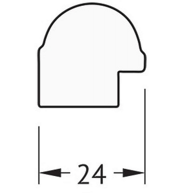Зеркало Evoform Definite 97х47 BY 0695 в багетной раме - Золотой бамбук 24