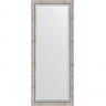 Зеркало Evoform Exclusive Floor 201х81 BY 6118 с фацетом в багетной раме - Римское серебро 88, купить, цена, заказать, магазин, доставка, скидка, промокод, купить, цена, заказать, магазин, доставка, скидка, промокод
