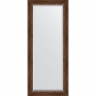 Зеркало Evoform Exclusive 156х66 BY 3569 с фацетом в багетной раме - Римская бронза 88, купить, цена, заказать, магазин, доставка, скидка, промокод, купить, цена, заказать, магазин, доставка, скидка, промокод