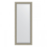 Зеркало Evoform Exclusive Floor 201х81 BY 6120 с фацетом в багетной раме - Хамелеон 88, купить, цена, заказать, магазин, доставка, скидка, промокод, купить, цена, заказать, магазин, доставка, скидка, промокод