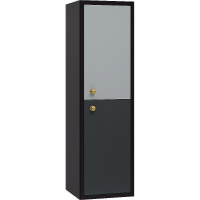 Шкаф пенал Brevita 50 Shades of Grey Кристиан 35 R Кри-05035-01-01П подвесной Черный матовый Серый матовый, купить, цена, заказать, магазин, доставка, скидка, промокод, купить, цена, заказать, магазин, доставка, скидка, промокод