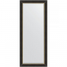 Зеркало Evoform Exclusive 154х64 BY 3930 с фацетом в багетной раме - Черное дерево с золотом 71, купить, цена, заказать, магазин, доставка, скидка, промокод, купить, цена, заказать, магазин, доставка, скидка, промокод