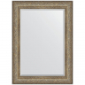 Зеркало Evoform Exclusive 110х80 BY 3477 с фацетом в багетной раме - Виньетка античная бронза 109, купить, цена, заказать, магазин, доставка, скидка, промокод, купить, цена, заказать, магазин, доставка, скидка, промокод