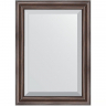 Зеркало Evoform Exclusive 71х51 BY 1124 с фацетом в багетной раме - Палисандр 62, купить, цена, заказать, магазин, доставка, скидка, промокод, купить, цена, заказать, магазин, доставка, скидка, промокод