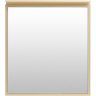 Зеркало Allen Brau Priority 70 1.31014.03 с подсветкой Латунь браш, купить, цена, заказать, магазин, доставка, скидка, промокод, купить, цена, заказать, магазин, доставка, скидка, промокод