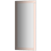 Зеркало Evoform Style 110x50 BY 0816 с зеркальным обрамлением - цвет Бронза, купить, цена, заказать, магазин, доставка, скидка, промокод, купить, цена, заказать, магазин, доставка, скидка, промокод