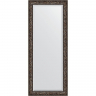 Зеркало Evoform Exclusive Floor 203х84 BY 6126 с фацетом в багетной раме - Византия бронза 99, купить, цена, заказать, магазин, доставка, скидка, промокод, купить, цена, заказать, магазин, доставка, скидка, промокод