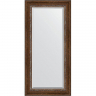 Зеркало Evoform Exclusive 116х56 BY 3491 с фацетом в багетной раме - Римская бронза 88, купить, цена, заказать, магазин, доставка, скидка, промокод, купить, цена, заказать, магазин, доставка, скидка, промокод