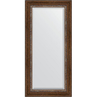 Зеркало Evoform Exclusive 116х56 BY 3491 с фацетом в багетной раме - Римская бронза 88, купить, цена, заказать, магазин, доставка, скидка, промокод, купить, цена, заказать, магазин, доставка, скидка, промокод