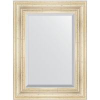 Зеркало Evoform Exclusive 79х59 BY 3393 с фацетом в багетной раме - Травленое серебро 99, купить, цена, заказать, магазин, доставка, скидка, промокод, купить, цена, заказать, магазин, доставка, скидка, промокод