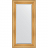 Зеркало Evoform Exclusive 119х59 BY 3496 с фацетом в багетной раме - Травленое золото 99, купить, цена, заказать, магазин, доставка, скидка, промокод, купить, цена, заказать, магазин, доставка, скидка, промокод