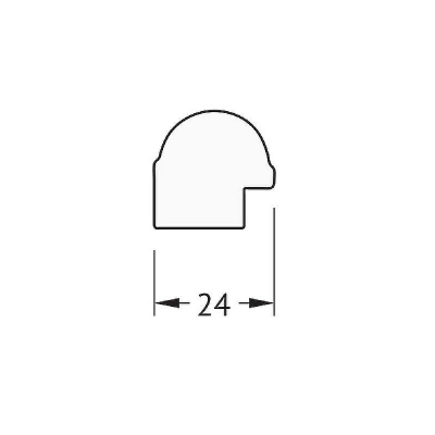 Зеркало Evoform Definite 67х47 BY 0626 в багетной раме - Золотой бамбук 24