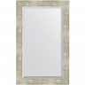 Зеркало Evoform Exclusive 81х51 BY 1139 с фацетом в багетной раме - Алюминий 61, купить, цена, заказать, магазин, доставка, скидка, промокод, купить, цена, заказать, магазин, доставка, скидка, промокод