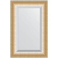 Зеркало Evoform Exclusive 86х56 BY 1141 с фацетом в багетной раме - Травленое золото 87, купить, цена, заказать, магазин, доставка, скидка, промокод, купить, цена, заказать, магазин, доставка, скидка, промокод
