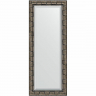 Зеркало Evoform Exclusive 133х53 BY 1156 с фацетом в багетной раме - Серебряный бамбук 73, купить, цена, заказать, магазин, доставка, скидка, промокод, купить, цена, заказать, магазин, доставка, скидка, промокод