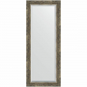 Зеркало Evoform Exclusive 133х53 BY 3512 с фацетом в багетной раме - Старое дерево с плетением 70, купить, цена, заказать, магазин, доставка, скидка, промокод, купить, цена, заказать, магазин, доставка, скидка, промокод