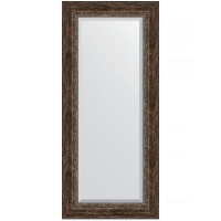 Зеркало Evoform Exclusive 162х72 BY 3586 с фацетом в багетной раме - Состаренное дерево с орнаментом 120, купить, цена, заказать, магазин, доставка, скидка, промокод, купить, цена, заказать, магазин, доставка, скидка, промокод
