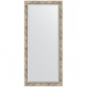 Зеркало Evoform Exclusive 163х73 BY 3589 с фацетом в багетной раме - Прованс с плетением 70, купить, цена, заказать, магазин, доставка, скидка, промокод, купить, цена, заказать, магазин, доставка, скидка, промокод