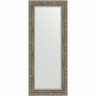 Зеркало Evoform Exclusive 135х55 BY 3515 с фацетом в багетной раме - Виньетка античная латунь 85, купить, цена, заказать, магазин, доставка, скидка, промокод, купить, цена, заказать, магазин, доставка, скидка, промокод