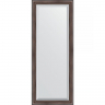 Зеркало Evoform Exclusive 141х56 BY 1164 с фацетом в багетной раме - Палисандр 62, купить, цена, заказать, магазин, доставка, скидка, промокод, купить, цена, заказать, магазин, доставка, скидка, промокод