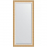 Зеркало Evoform Exclusive 166х76 BY 1211 с фацетом в багетной раме - Травленое золото 87, купить, цена, заказать, магазин, доставка, скидка, промокод, купить, цена, заказать, магазин, доставка, скидка, промокод
