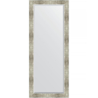 Зеркало Evoform Exclusive Floor 201х81 BY 6181 с фацетом в багетной раме - Алюминий 90, купить, цена, заказать, магазин, доставка, скидка, промокод, купить, цена, заказать, магазин, доставка, скидка, промокод