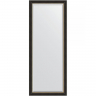 Зеркало Evoform Exclusive Floor 198х79 BY 6185 с фацетом в багетной раме - Черное дерево с золотом 71, купить, цена, заказать, магазин, доставка, скидка, промокод, купить, цена, заказать, магазин, доставка, скидка, промокод