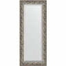 Зеркало Evoform Exclusive 136х56 BY 1259 с фацетом в багетной раме - Фреска 84, купить, цена, заказать, магазин, доставка, скидка, промокод, купить, цена, заказать, магазин, доставка, скидка, промокод