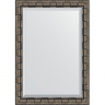 Зеркало Evoform Exclusive 103х73 BY 1196 с фацетом в багетной раме - Серебряный бамбук 73, купить, цена, заказать, магазин, доставка, скидка, промокод, купить, цена, заказать, магазин, доставка, скидка, промокод
