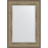 Зеркало Evoform Exclusive 100х70 BY 3451 с фацетом в багетной раме - Виньетка античная бронза 109, купить, цена, заказать, магазин, доставка, скидка, промокод, купить, цена, заказать, магазин, доставка, скидка, промокод