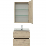 Комплект мебели для ванной Aquanet Алвита New 60 274209 подвесной Дуб веллингтон белый, купить, цена, заказать, магазин, доставка, скидка, промокод, купить, цена, заказать, магазин, доставка, скидка, промокод