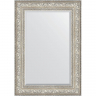 Зеркало Evoform Exclusive 100х70 BY 3452 с фацетом в багетной раме - Виньетка серебро 109, купить, цена, заказать, магазин, доставка, скидка, промокод, купить, цена, заказать, магазин, доставка, скидка, промокод